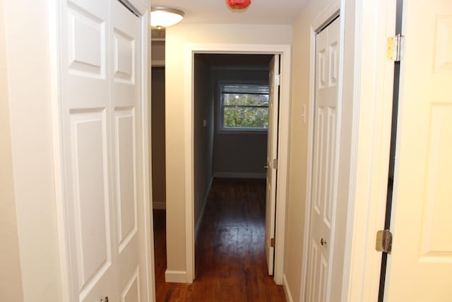 hall featuring dark hardwood / wood-style flooring