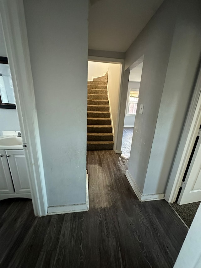 hallway featuring dark hardwood / wood-style floors and sink