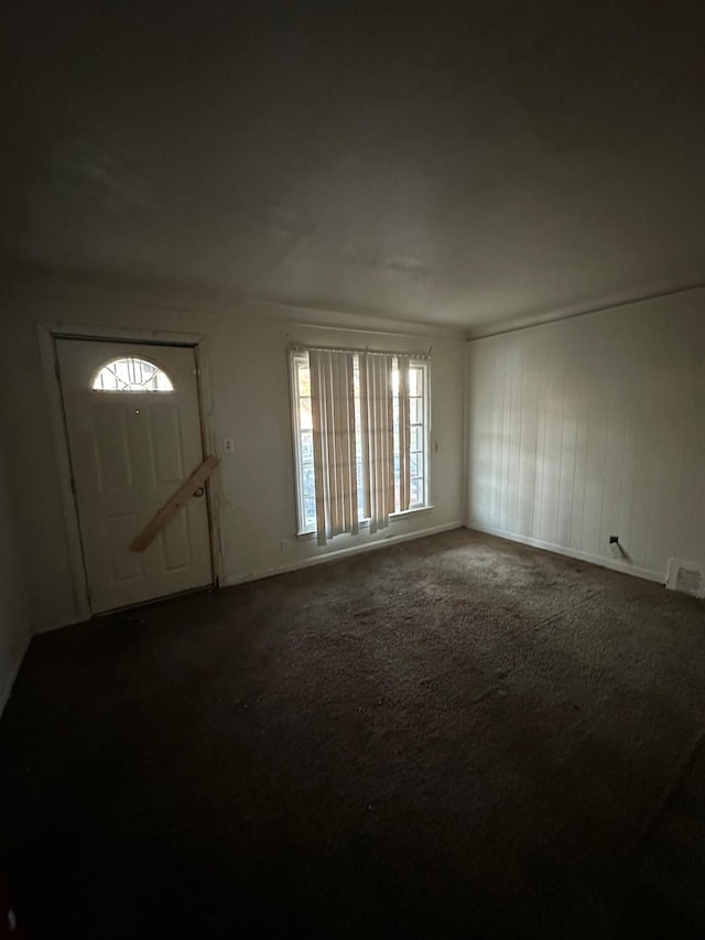 carpeted foyer featuring a wealth of natural light