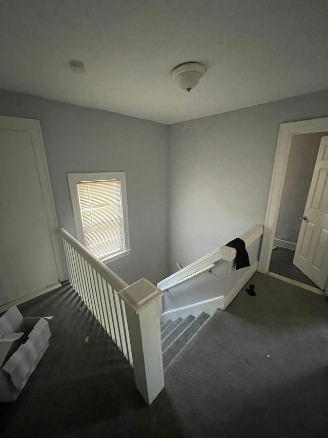 15039 Freeland St, Detroit, MI 48227 - photo 20
