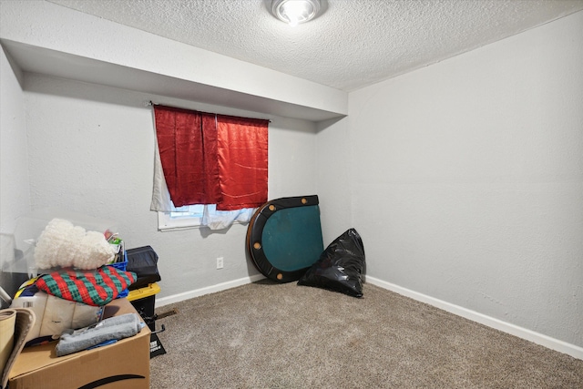 interior space featuring carpet flooring and a textured ceiling