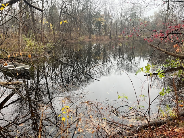 view of water feature