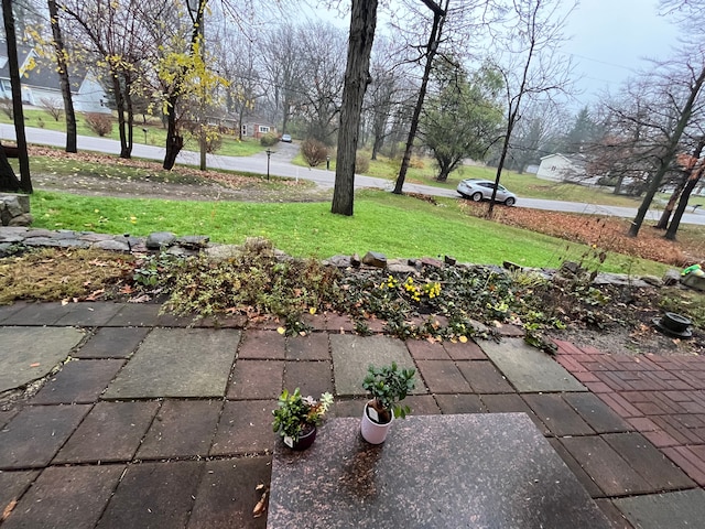 view of yard with a patio area