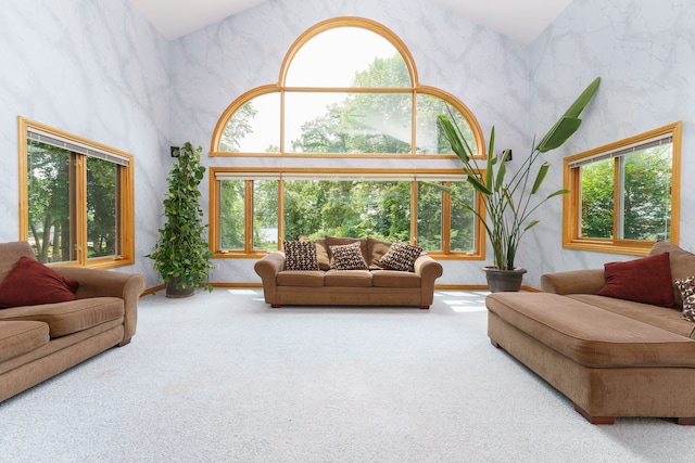 living room with carpet, a high ceiling, and a wealth of natural light