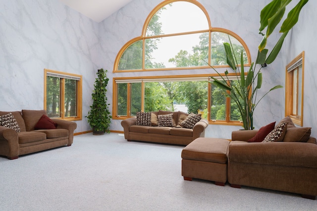 living room with carpet and a high ceiling