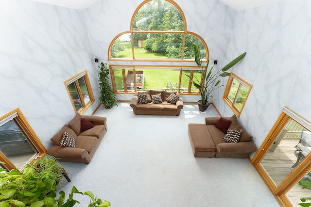 living room featuring carpet and a high ceiling