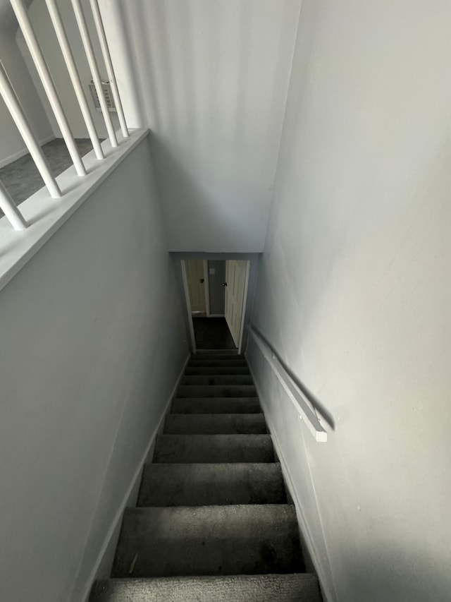 stairs featuring carpet floors