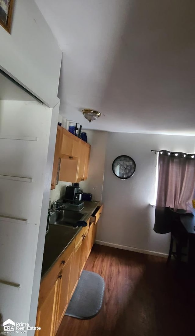 kitchen with dark hardwood / wood-style floors and sink