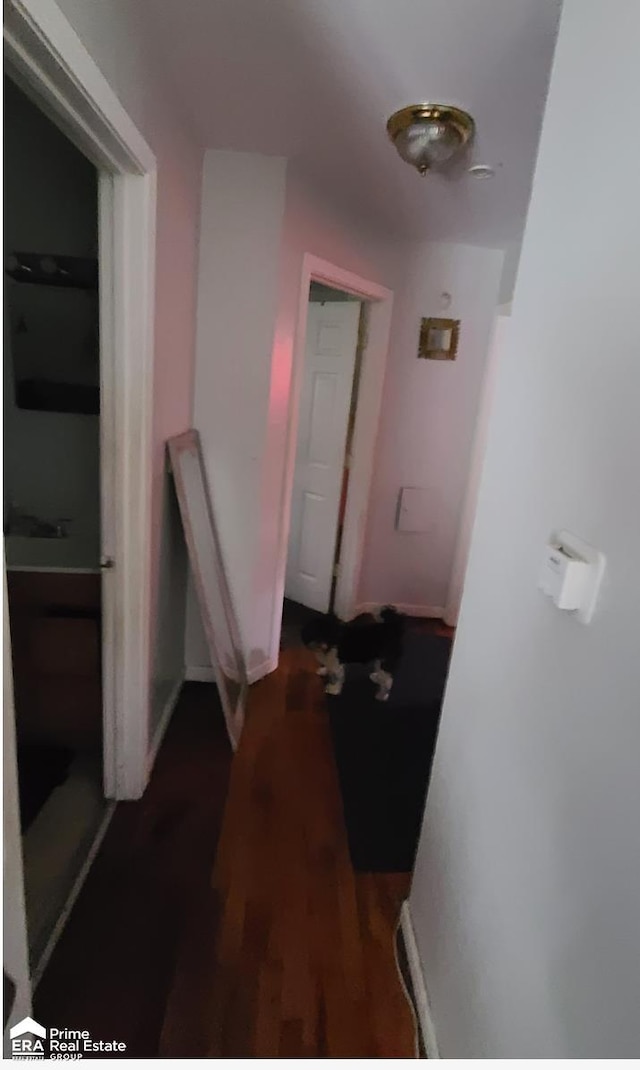 hallway with dark wood-type flooring