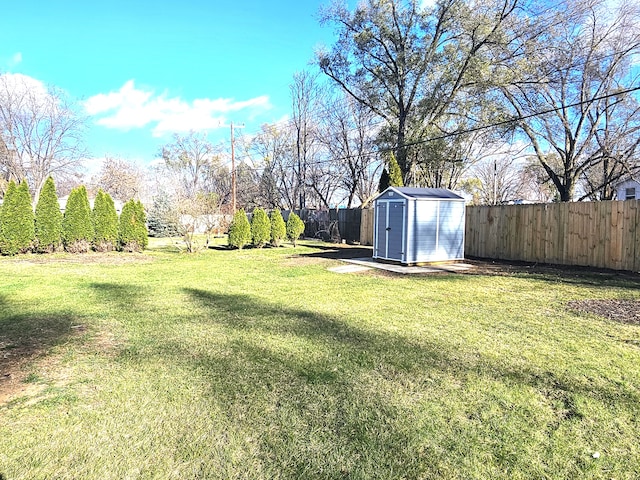 view of yard with a storage unit