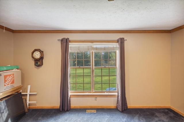 interior space featuring crown molding and a textured ceiling