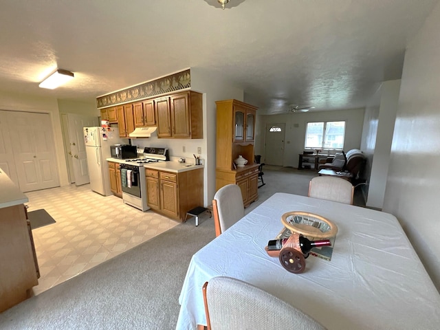 dining area featuring ceiling fan