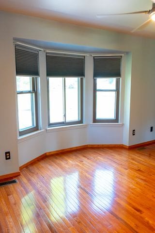 spare room featuring light hardwood / wood-style floors, a wealth of natural light, and ceiling fan