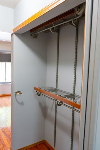 spacious closet featuring wood-type flooring