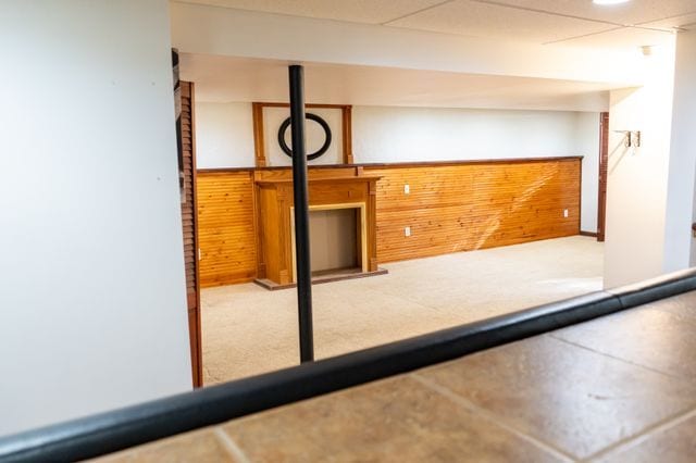 interior space with carpet flooring and wood walls