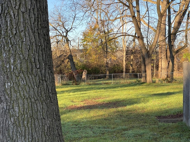 2298 S Term St, Burton, MI 48519 - view of yard
