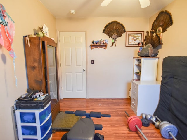 workout room featuring wood-type flooring