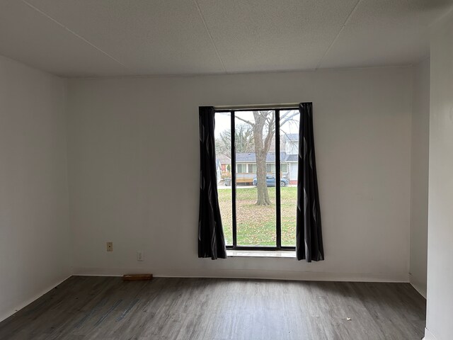 21800 Morley Ave Unit 101, Dearborn, MI 48124 - empty room featuring plenty of natural light, wood finished floors, and baseboards
