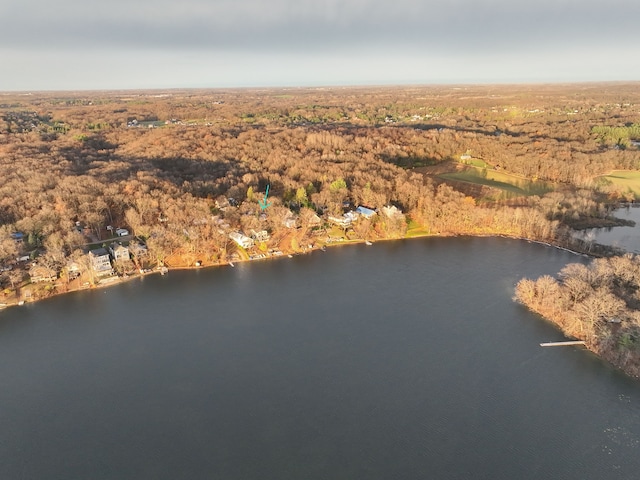 771 Hurley Dr, Howell, MI 48843 - aerial view of property's location featuring a nearby body of water and a heavily wooded area