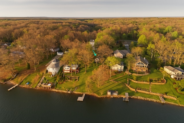 771 Hurley Dr, Howell, MI 48843 - aerial view of a forest and a nearby body of water