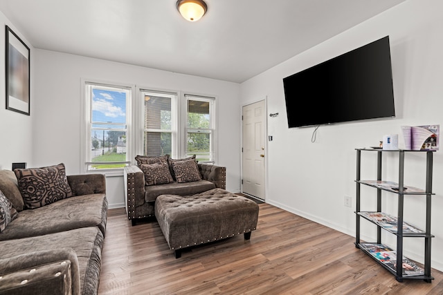 living room with hardwood / wood-style flooring