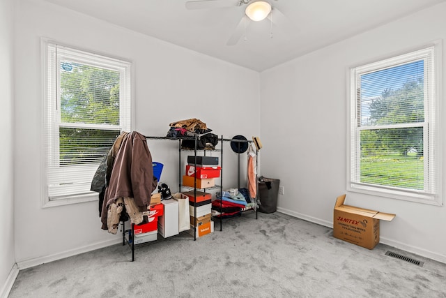 misc room with a wealth of natural light, ceiling fan, and light colored carpet