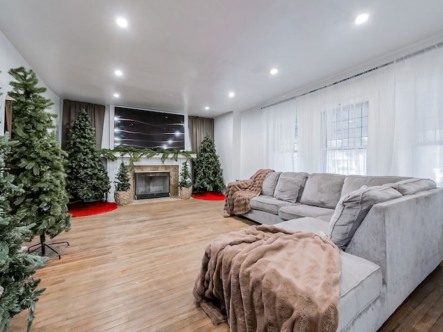 living room with hardwood / wood-style flooring and a stone fireplace