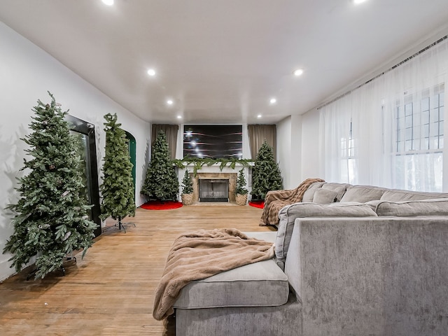 living room featuring hardwood / wood-style floors