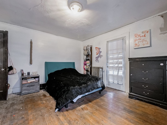 bedroom with wood-type flooring