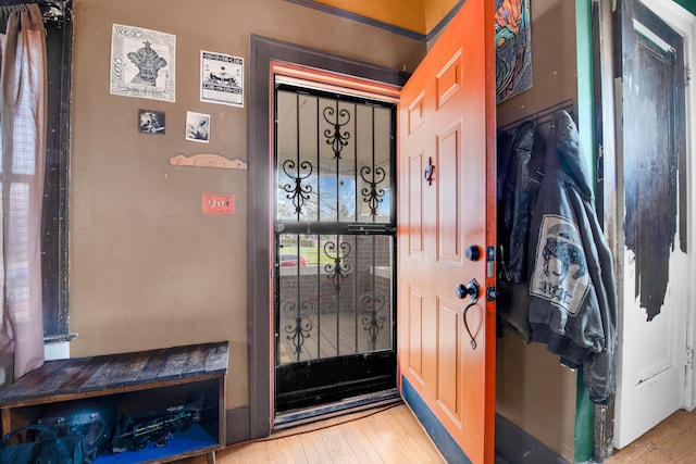 entrance foyer with wood-type flooring