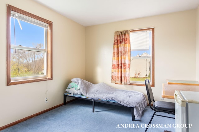 bedroom featuring carpet flooring