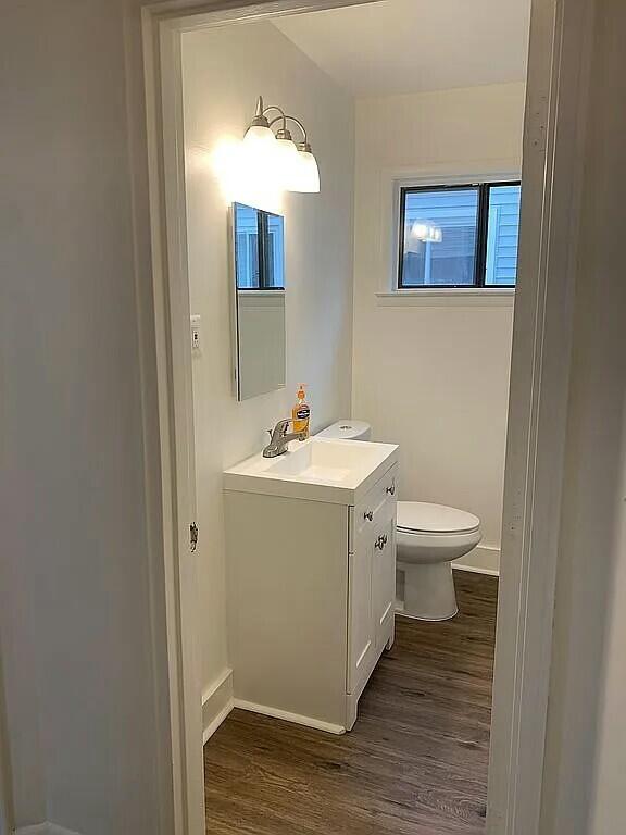 bathroom with vanity, toilet, and wood-type flooring