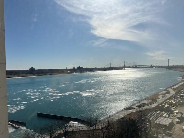 1001 W Jefferson Ave Unit 300/12A, Detroit, MI 48226 - view of water feature
