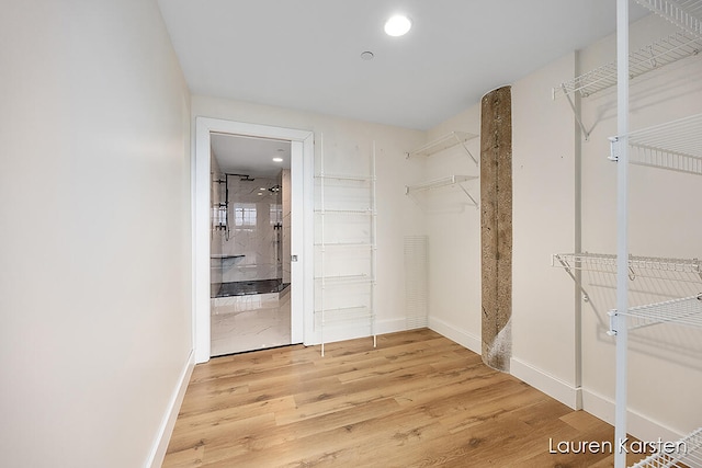 walk in closet with wood-type flooring