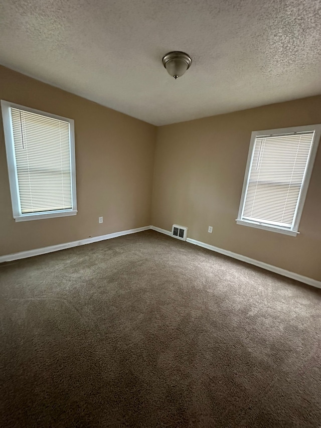 empty room featuring plenty of natural light, carpet floors, and a textured ceiling