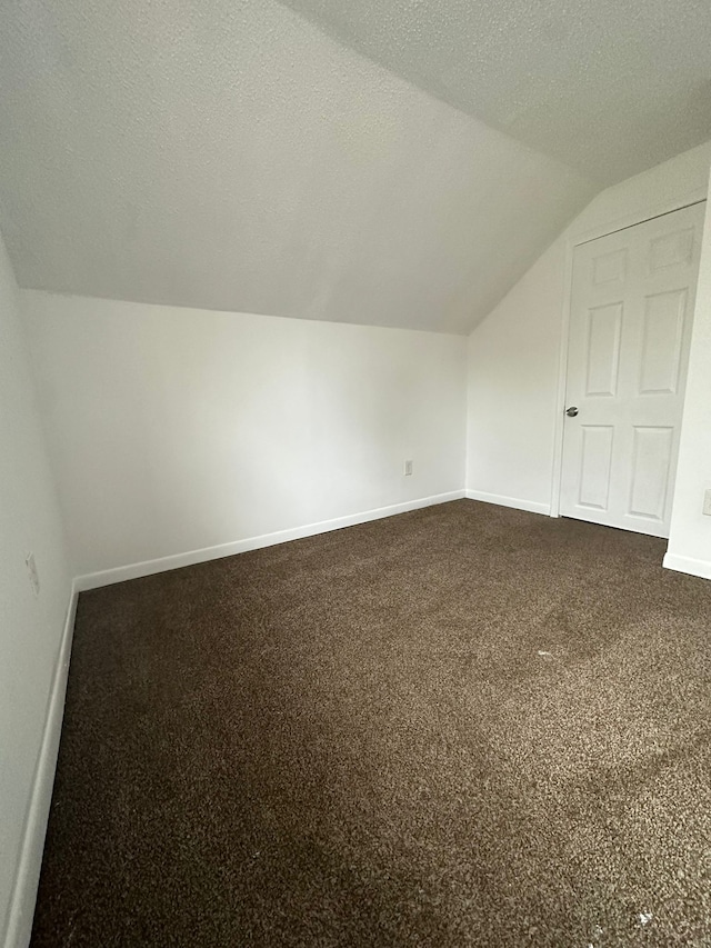 additional living space with carpet, a textured ceiling, and vaulted ceiling