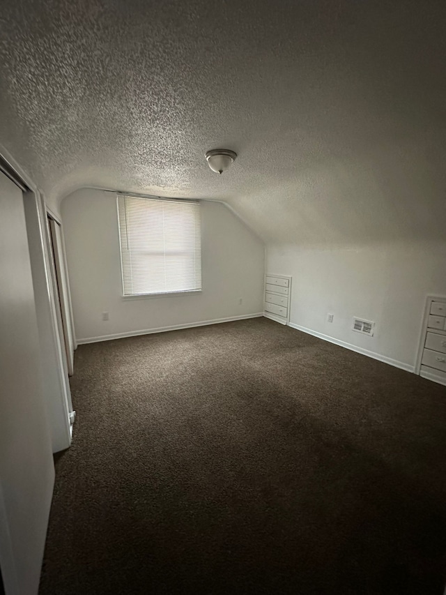 additional living space featuring carpet flooring, a textured ceiling, and vaulted ceiling