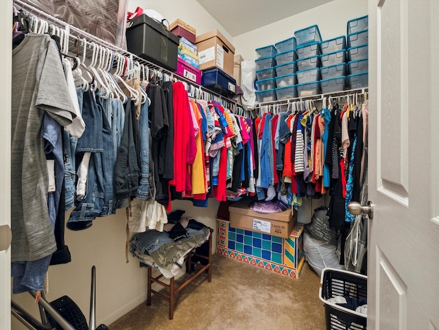 walk in closet with carpet floors