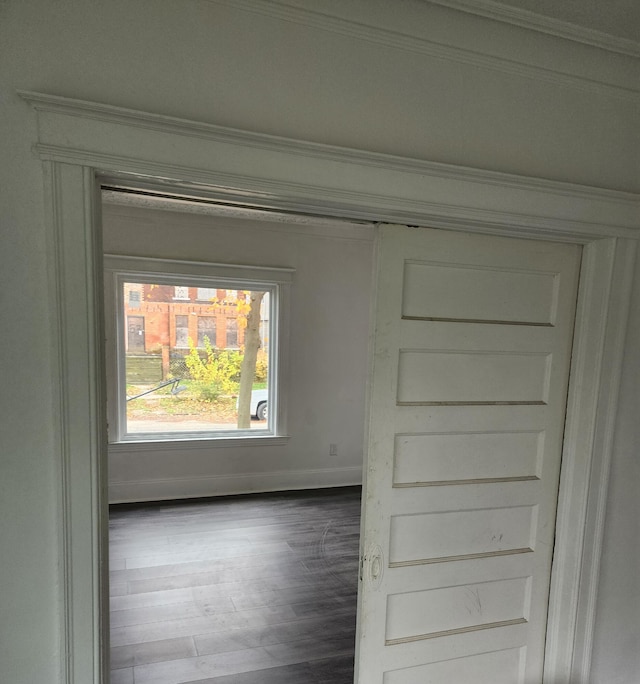 unfurnished room featuring crown molding and dark hardwood / wood-style flooring