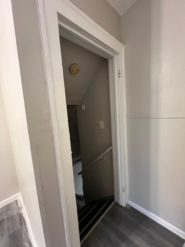 stairway with hardwood / wood-style flooring