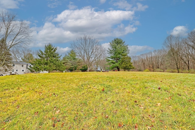 view of yard with a rural view