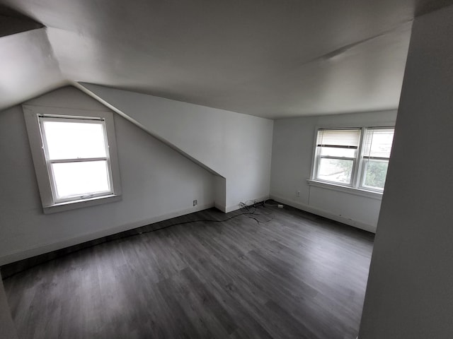 additional living space with a wealth of natural light, dark hardwood / wood-style flooring, and vaulted ceiling