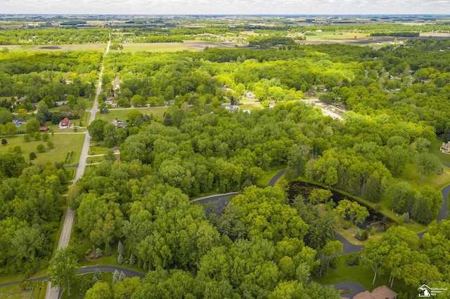 9107 Pine Forest Cir, Lambertville, MI 48144