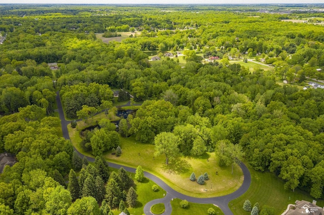 9107 Pine Forest Cir, Lambertville, MI 48144