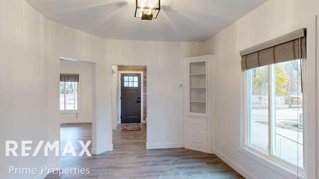 foyer entrance featuring a healthy amount of sunlight and light wood-type flooring