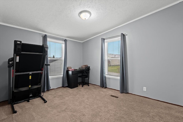 interior space with light carpet, a healthy amount of sunlight, and a textured ceiling