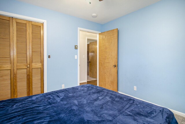 7349 E Main St, Eau Claire, MI 49111 - unfurnished bedroom with carpet, a closet, baseboards, and a ceiling fan