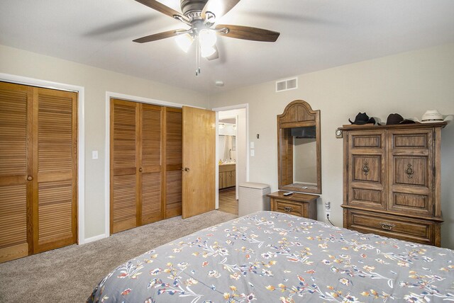 7349 E Main St, Eau Claire, MI 49111 - carpeted bedroom featuring two closets, ceiling fan, and baseboards