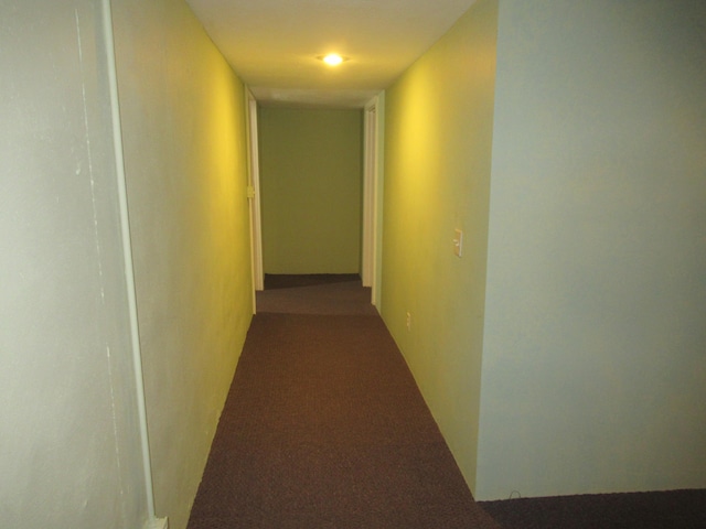 corridor featuring carpet floors