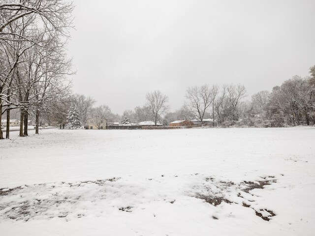 view of yard layered in snow